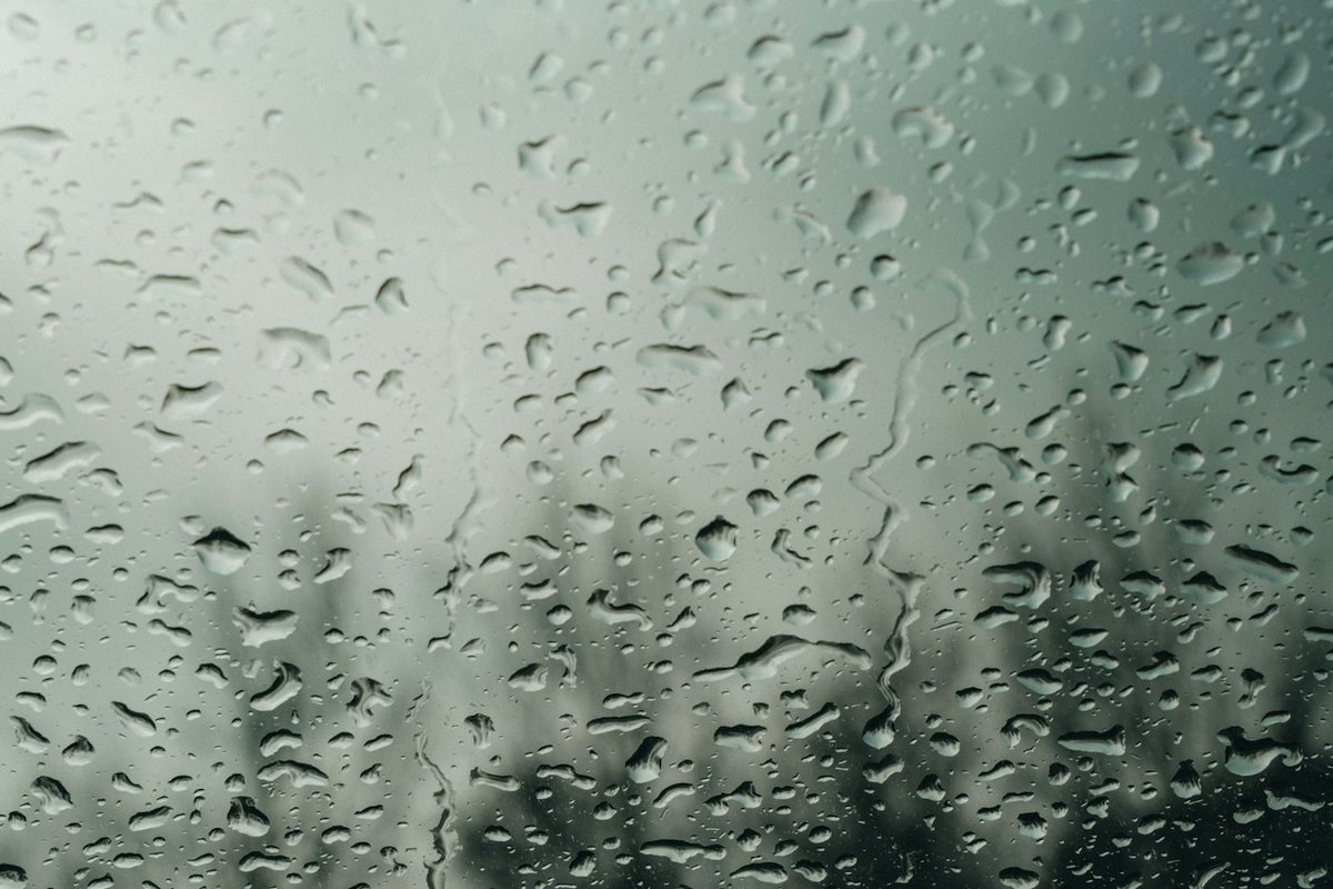 a rain covered window with trees in the background